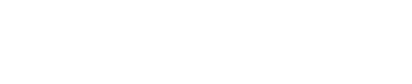 Nexivo IT Solutions